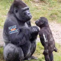 Monkey Junior vs Chief Monkey