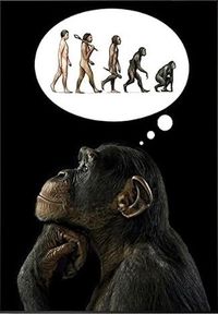 Monkey See Monkey Do